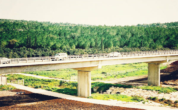 Cebus Rimon - Trans-Israel Highway