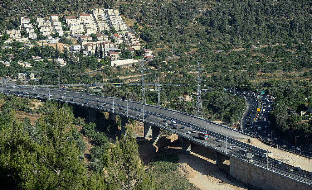 Cebus Rimon - Motza Bridge